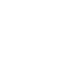 reliable and on time