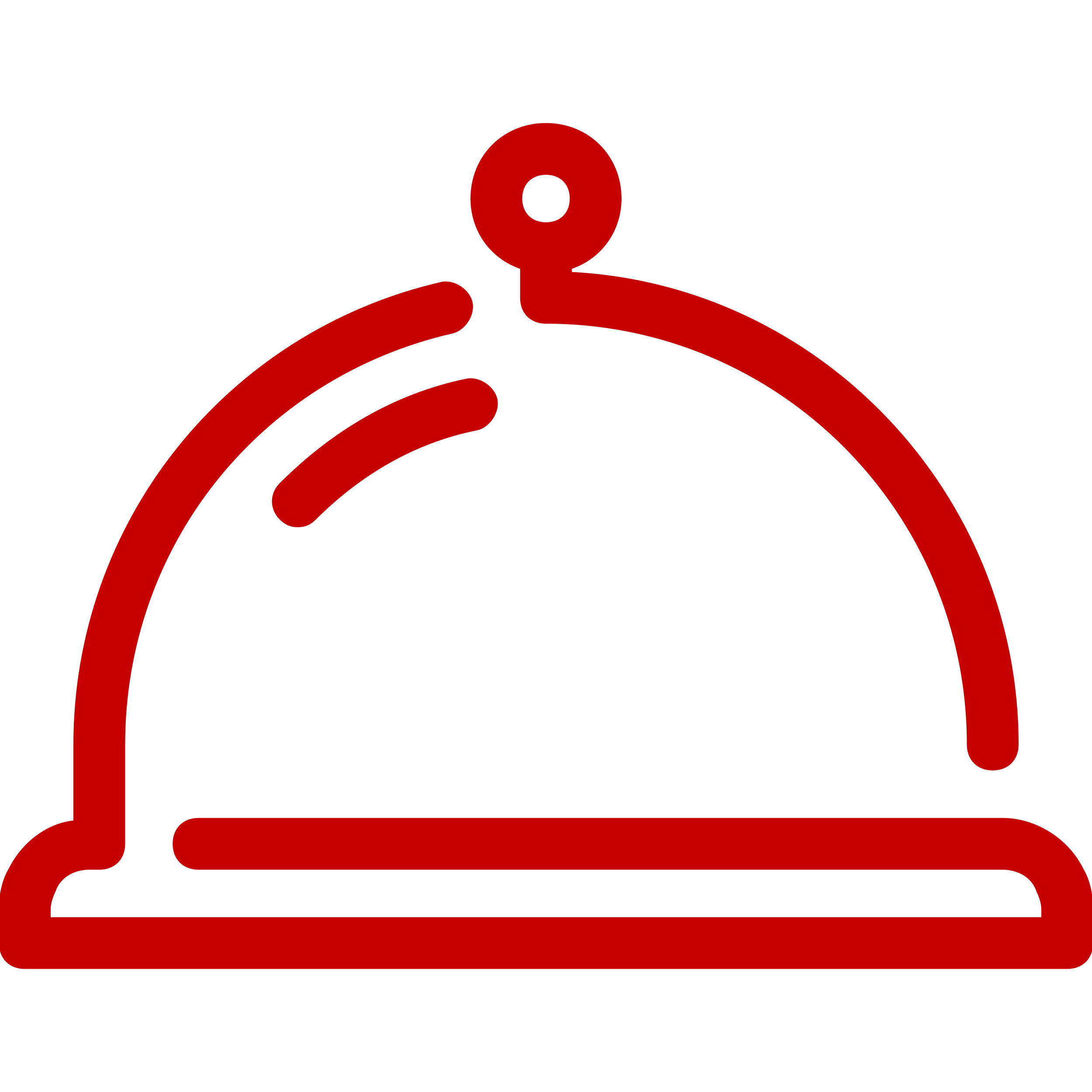 food service in chennai icon